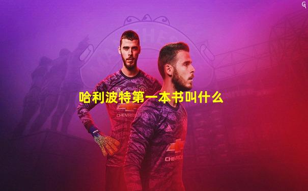 哈利波特第一本书叫什么