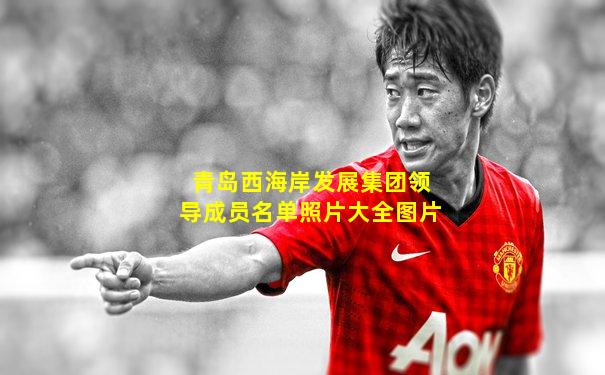 青岛西海岸发展集团领导成员名单照片大全图片