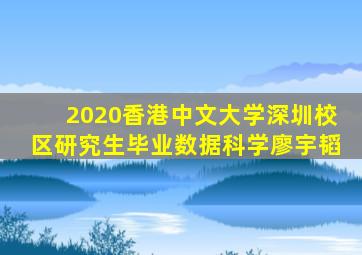 2020香港中文大学深圳校区研究生毕业数据科学廖宇韬