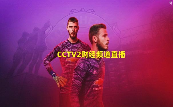 CCTV2财经频道直播