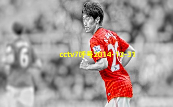 cctv7呼号2014-12-31