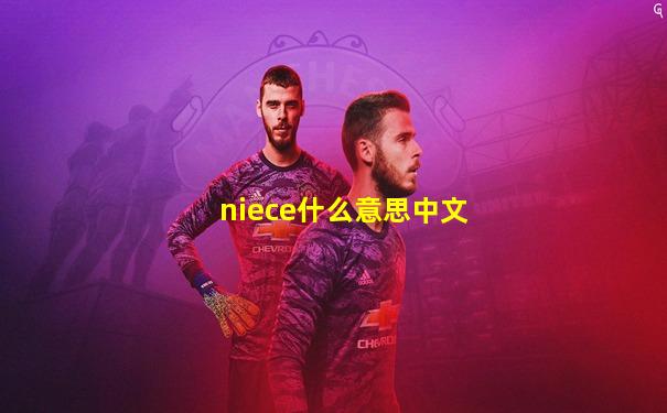 niece什么意思中文