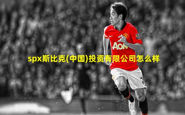 spx斯比克(中国)投资有限公司怎么样