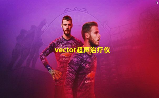 vector超声治疗仪