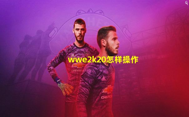wwe2k20怎样操作