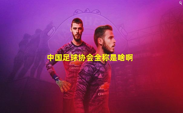 中国足球协会全称是啥啊