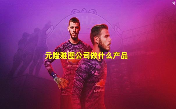 元隆雅图公司做什么产品