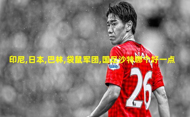 印尼,日本,巴林,袋鼠军团,国足沙特哪个好一点