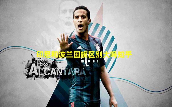 印尼和波兰国旗区别大吗知乎