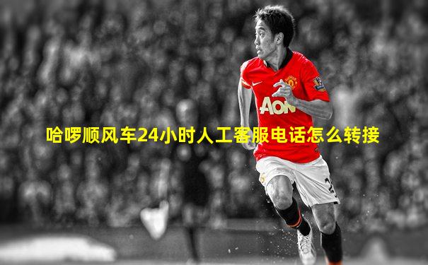 哈啰顺风车24小时人工客服电话怎么转接