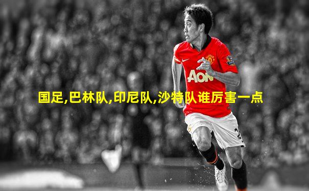 国足,巴林队,印尼队,沙特队谁厉害一点