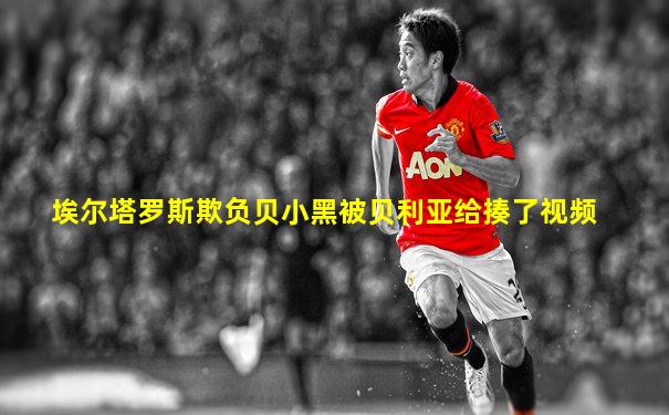 埃尔塔罗斯欺负贝小黑被贝利亚给揍了视频