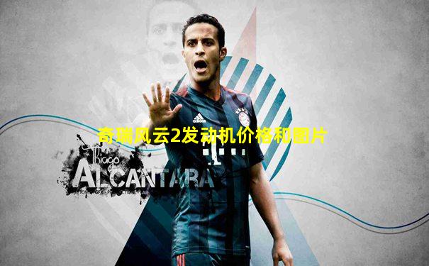 奇瑞风云2发动机价格和图片