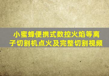 小蜜蜂便携式数控火焰等离子切割机点火及完整切割视频