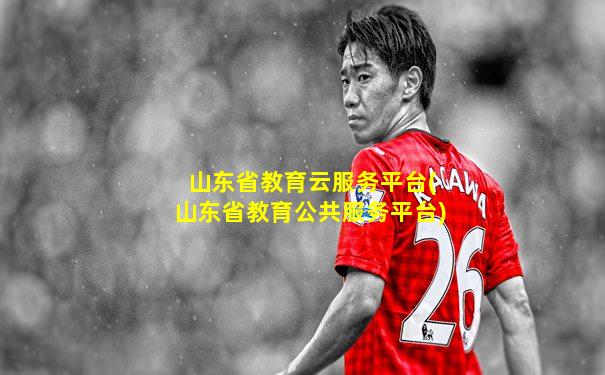 山东省教育云服务平台(山东省教育公共服务平台)
