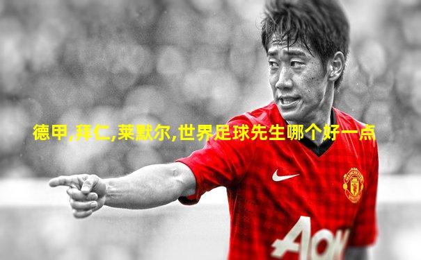 德甲,拜仁,莱默尔,世界足球先生哪个好一点