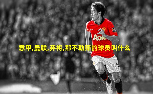 意甲,曼联,弃将,那不勒斯的球员叫什么