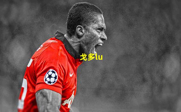 戈多lu