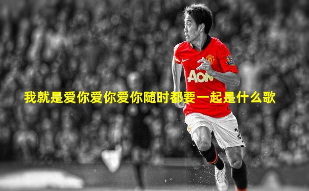 我就是爱你爱你爱你随时都要一起是什么歌