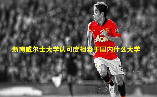 新南威尔士大学认可度相当于国内什么大学