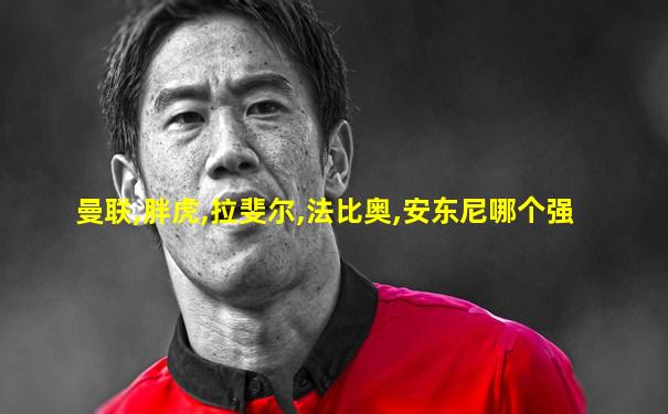 曼联,胖虎,拉斐尔,法比奥,安东尼哪个强