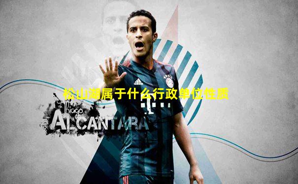 松山湖属于什么行政单位性质