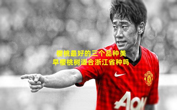 樱桃最好的三个品种美早樱桃树适合浙江省种吗