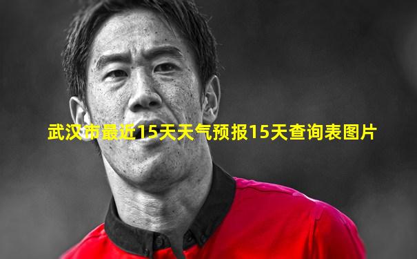 武汉市最近15天天气预报15天查询表图片