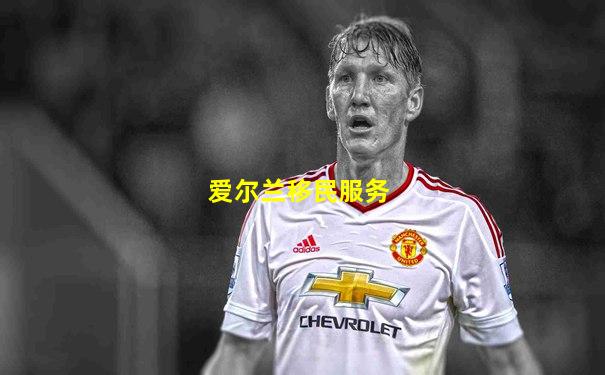 爱尔兰移民服务