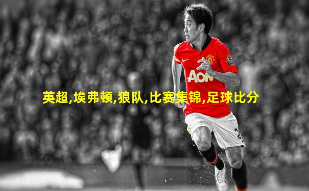 英超,埃弗顿,狼队,比赛集锦,足球比分