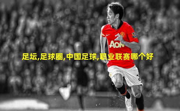 足坛,足球圈,中国足球,职业联赛哪个好