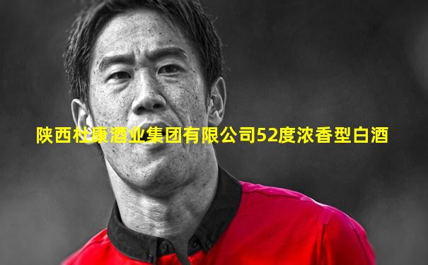 陕西杜康酒业集团有限公司52度浓香型白酒