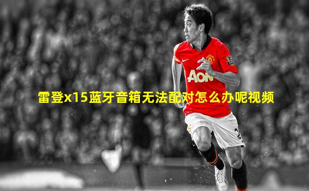 雷登x15蓝牙音箱无法配对怎么办呢视频