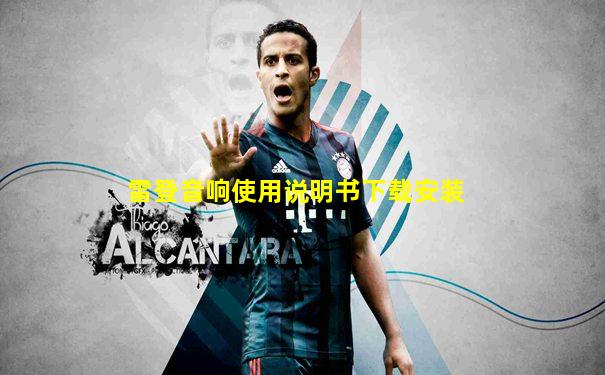 雷登音响使用说明书下载安装