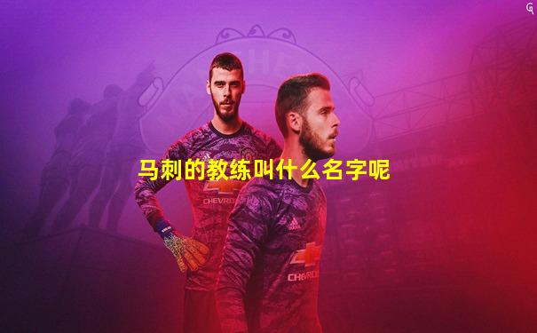 马刺的教练叫什么名字呢